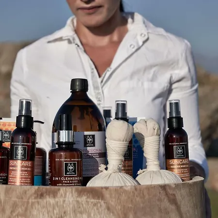 Willa Naxian Utopia | Luxury & Stelida (Naxos)