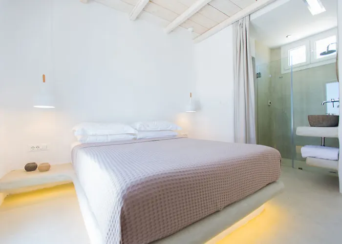 Willa Naxian Utopia | Luxury &