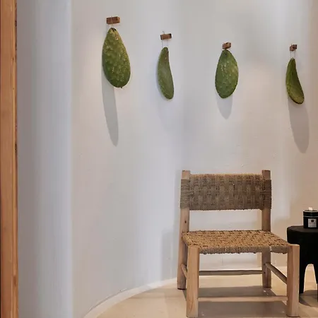 Naxian Utopia | Luxury & * Stelida (Naxos)