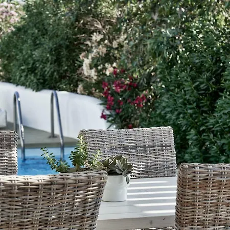 Naxian Utopia Luxury Vila Stelida (Naxos)