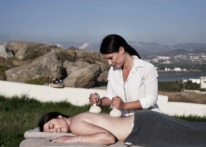 Vila Naxian Utopia | Luxury &